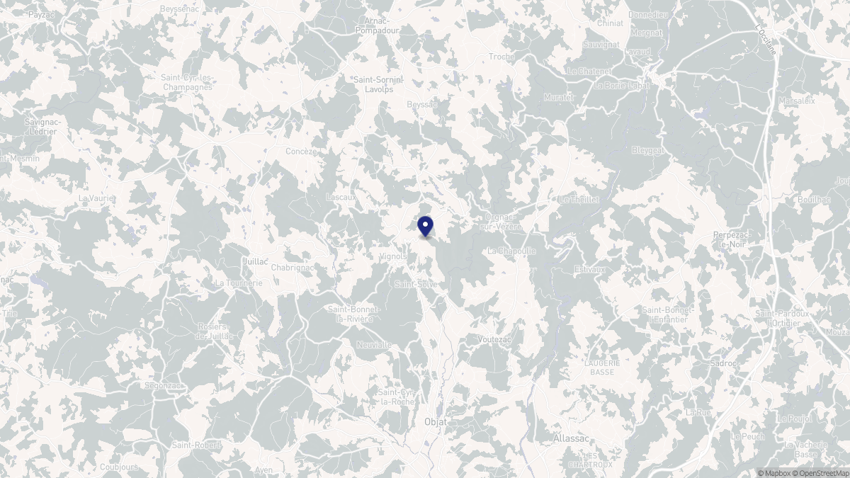 Aperçu cartographique de Vignols, centré sur la commune