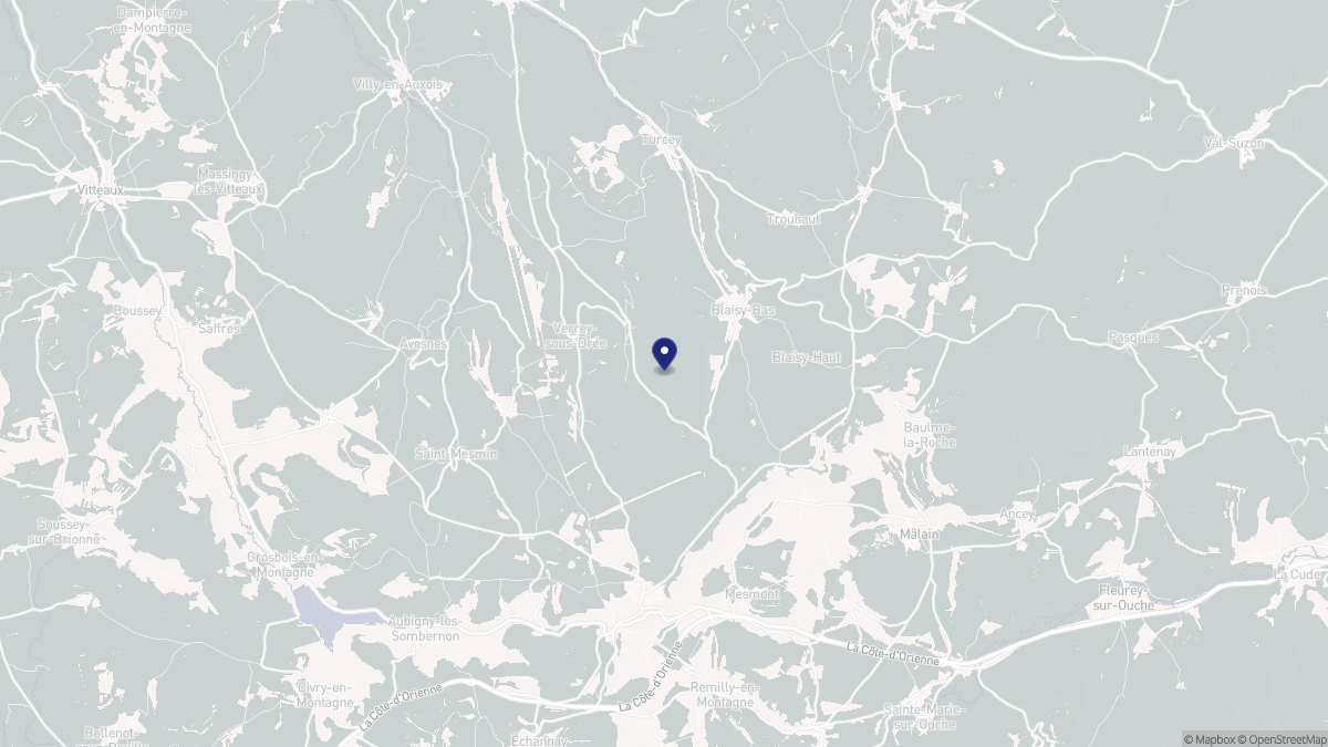 Aperçu cartographique de Bussy-la-Pesle, centré sur la commune