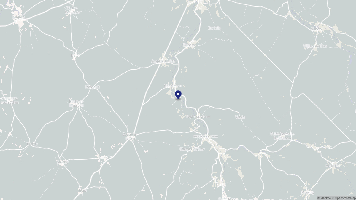 Aperçu cartographique de Chamesson, centré sur la commune