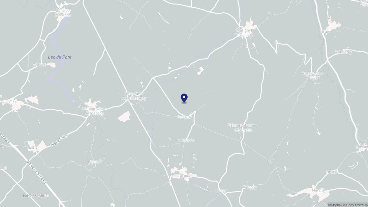 Aperçu cartographique de Charigny, centré sur la commune