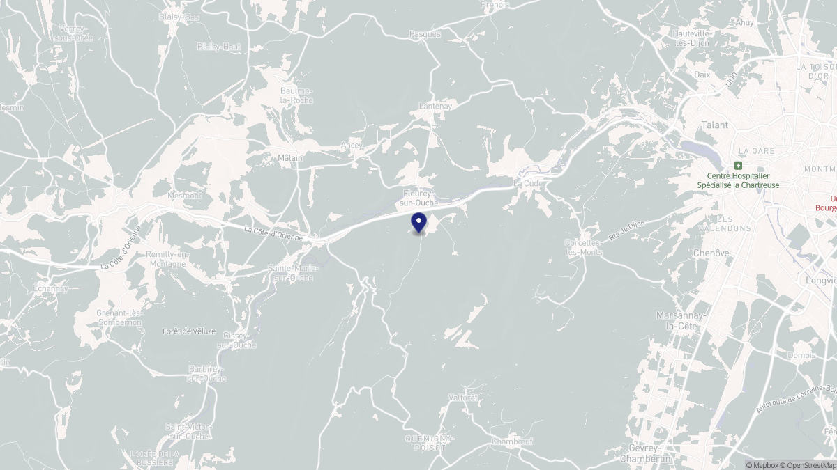 Aperçu cartographique de Fleurey-sur-Ouche, centré sur la commune