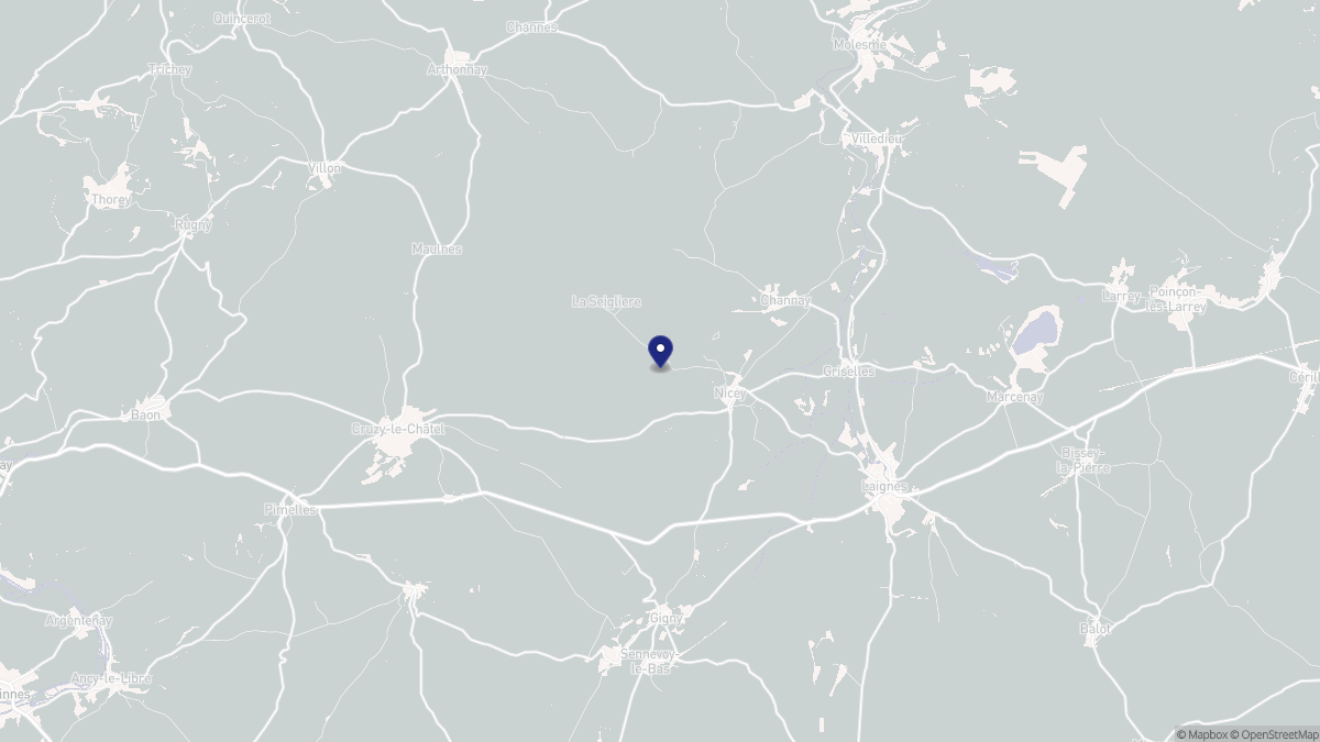Aperçu cartographique de Nicey, centré sur la commune