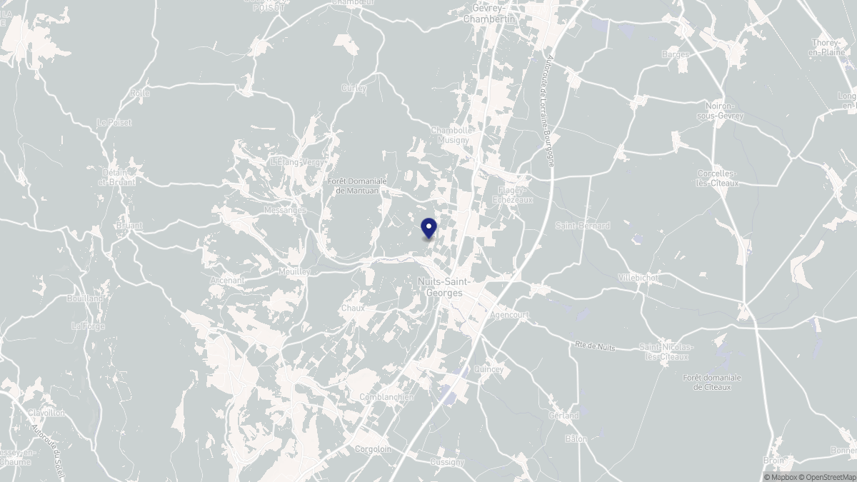 Aperçu cartographique de Nuits-Saint-Georges, centré sur la commune