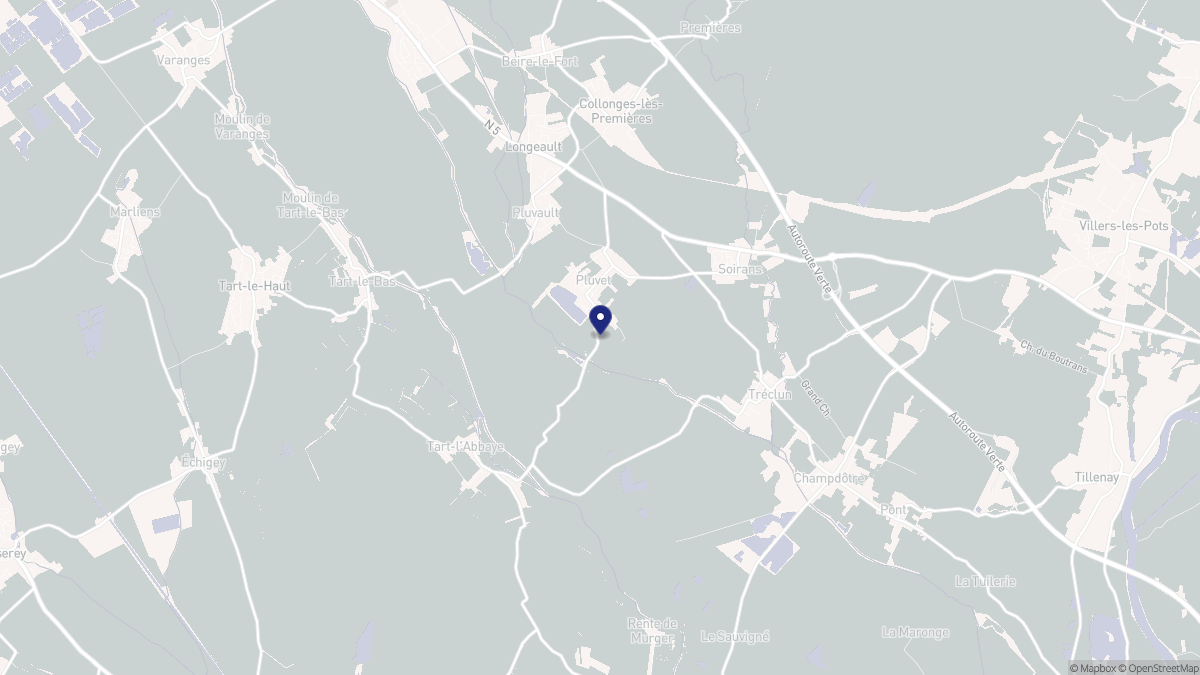Aperçu cartographique de Pluvet, centré sur la commune