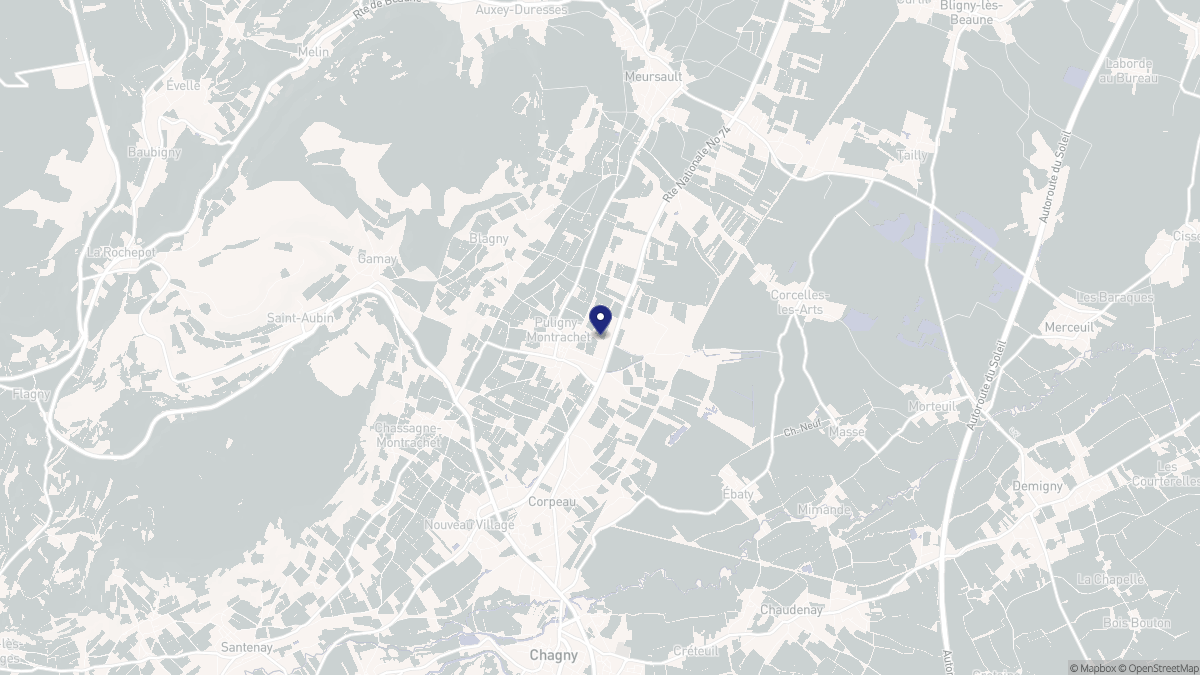 Aperçu cartographique de Puligny-Montrachet, centré sur la commune