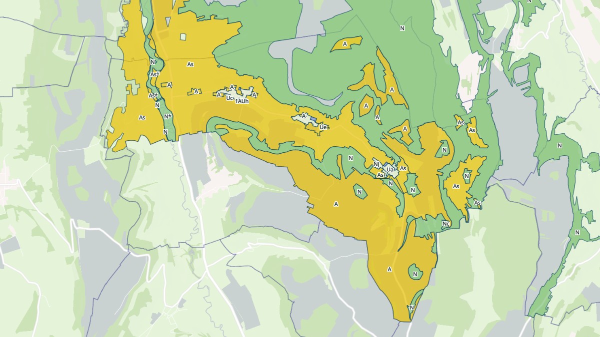 Aperçu cartographique de La Roche-Vanneau, centré sur la commune