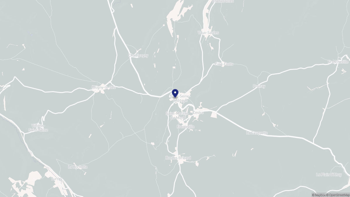 Aperçu cartographique de Saint-Seine-l'Abbaye, centré sur la commune