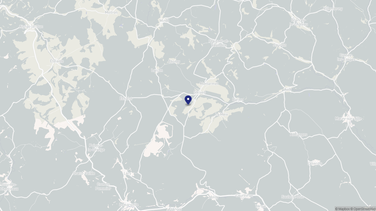 Aperçu cartographique de Salives, centré sur la commune