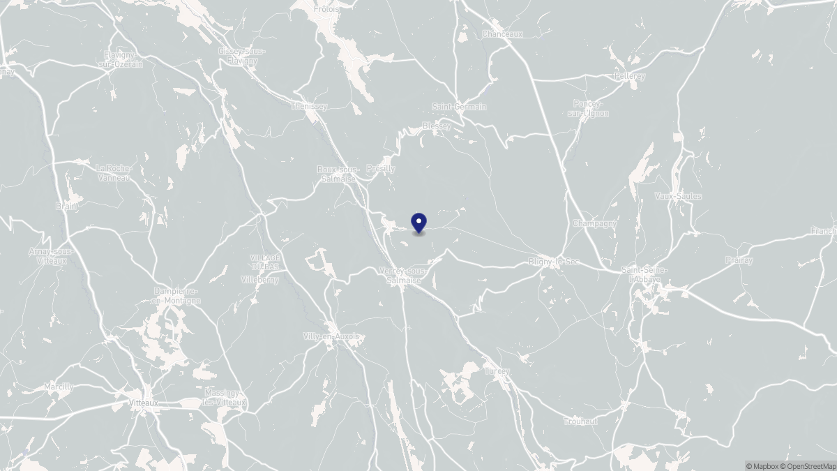 Aperçu cartographique de Salmaise, centré sur la commune