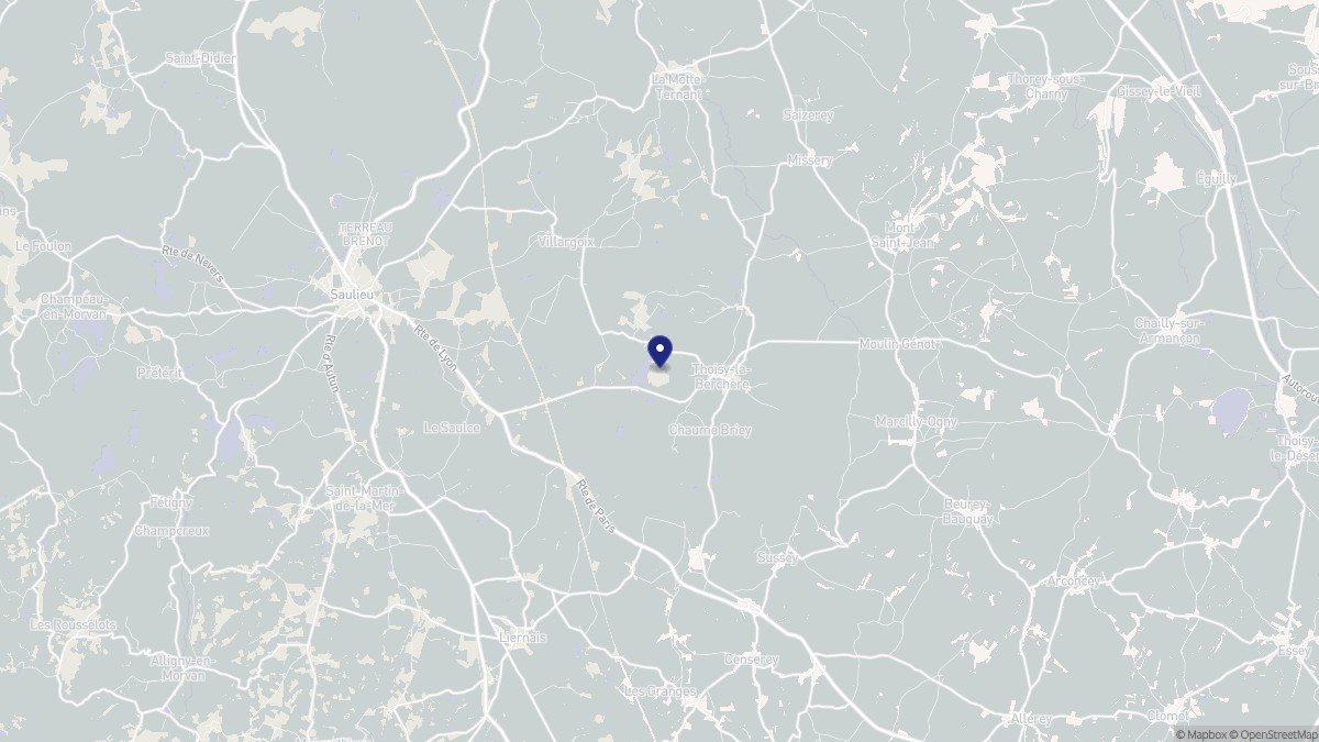 Aperçu cartographique de Thoisy-la-Berchère, centré sur la commune