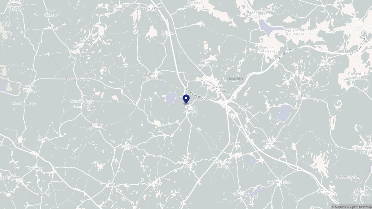 Aperçu cartographique de Thoisy-le-Désert, centré sur la commune