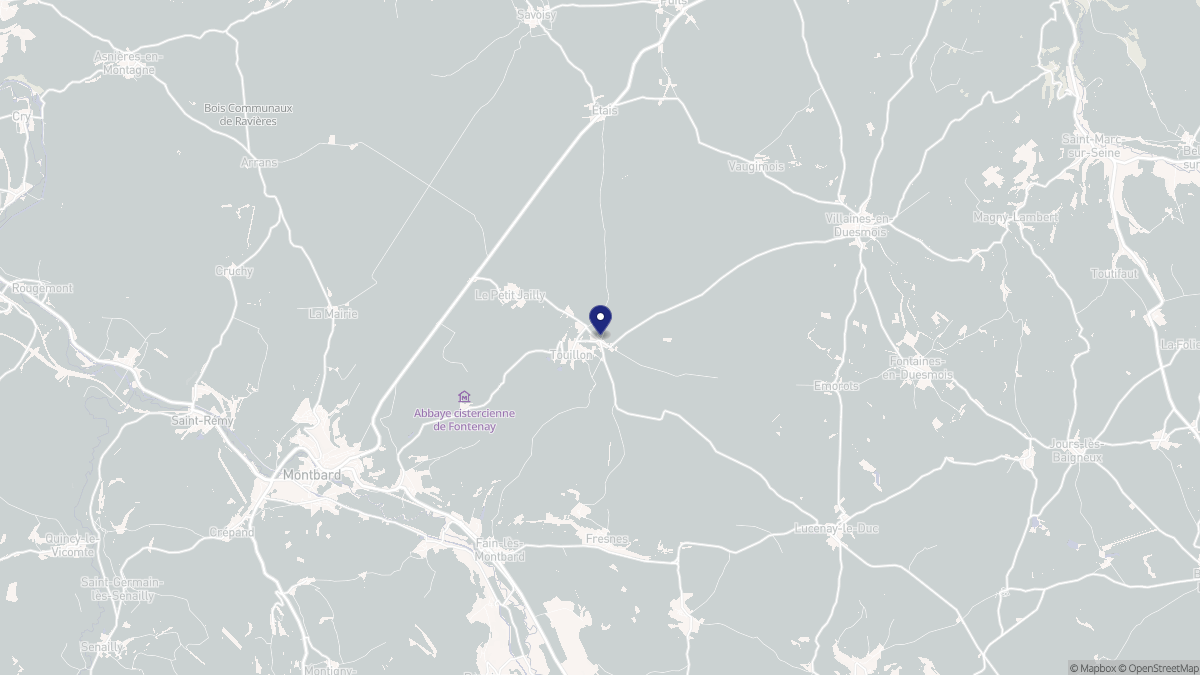 Aperçu cartographique de Touillon, centré sur la commune