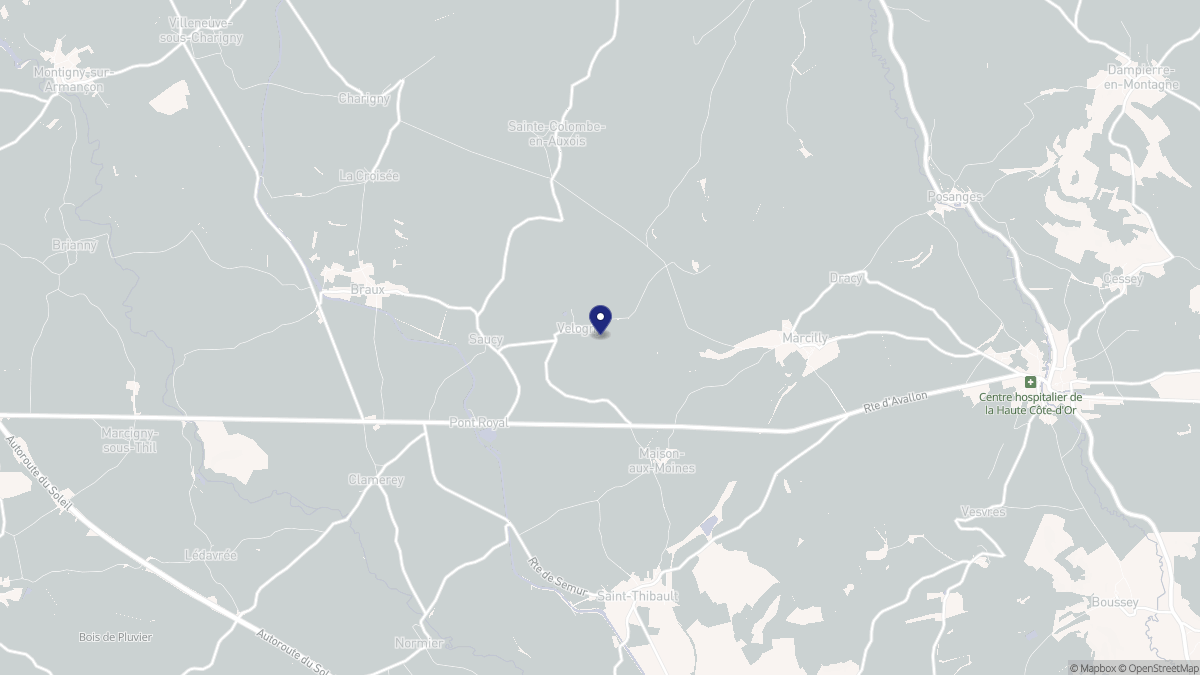 Aperçu cartographique de Velogny, centré sur la commune