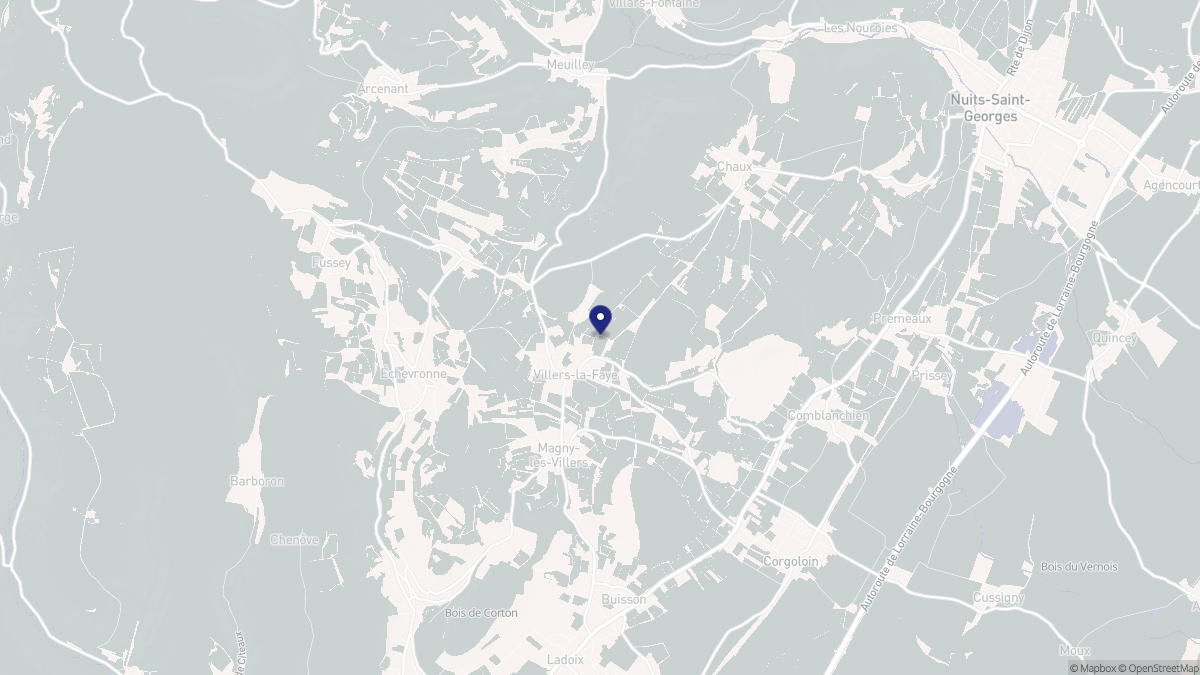 Aperçu cartographique de Villers-la-Faye, centré sur la commune