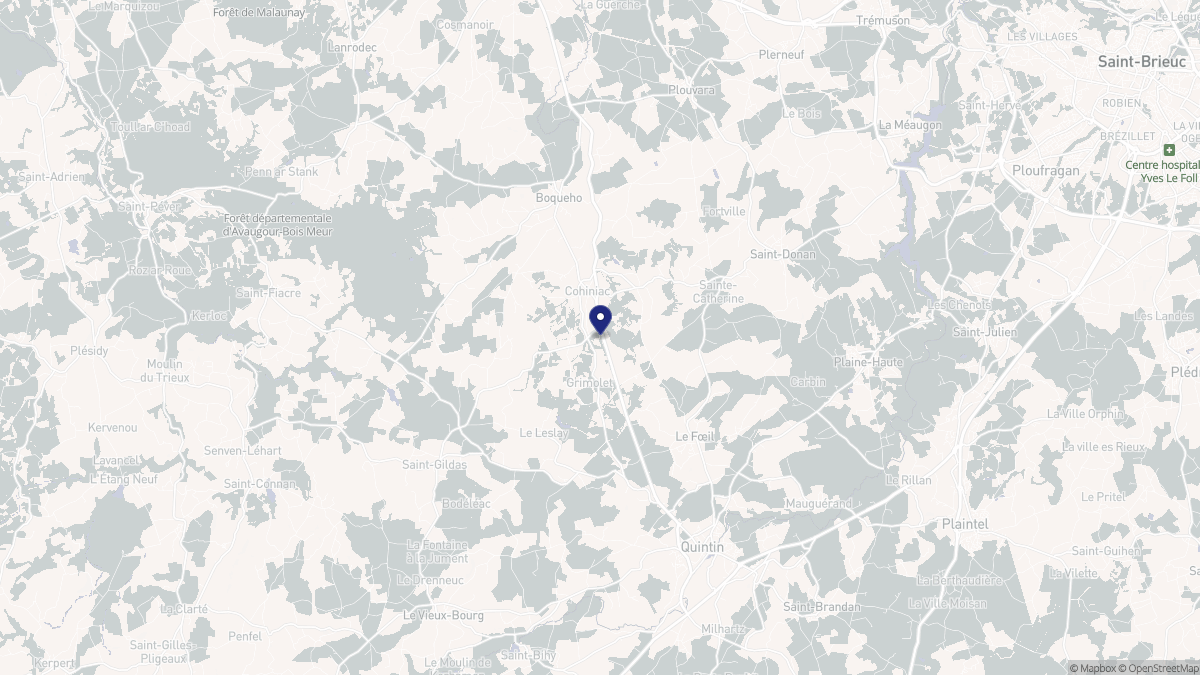 Aperçu cartographique de Cohiniac, centré sur la commune