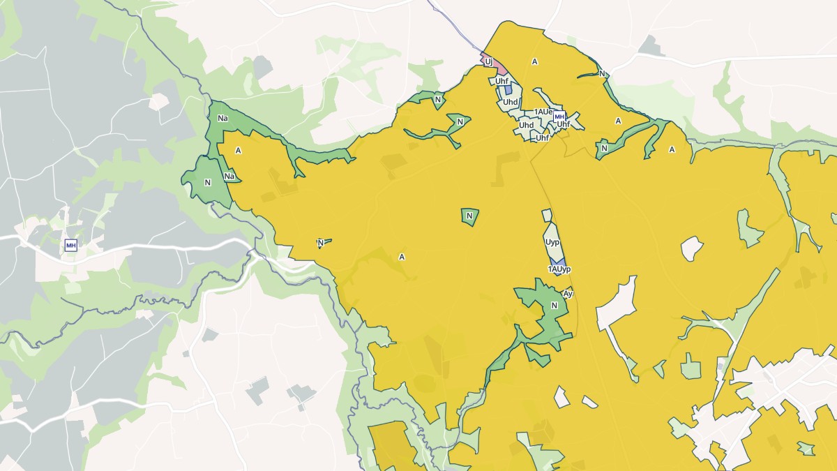 Aperçu cartographique de Runan, centré sur la commune