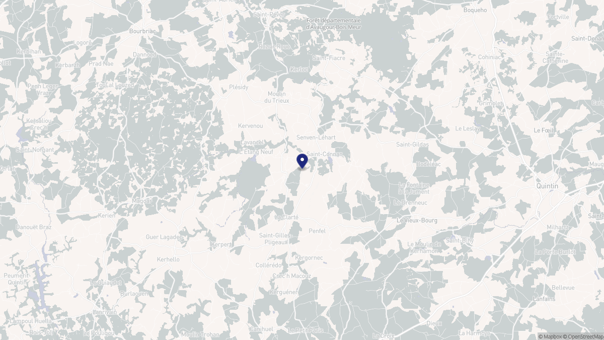 Aperçu cartographique de Saint-Connan, centré sur la commune