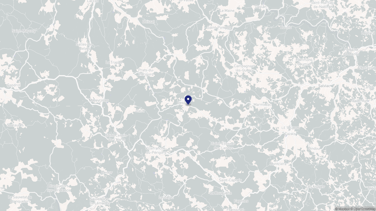 Aperçu cartographique de Besse, centré sur la commune