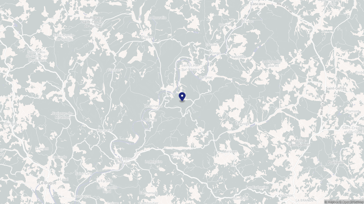 Aperçu cartographique de Peyzac-le-Moustier, centré sur la commune