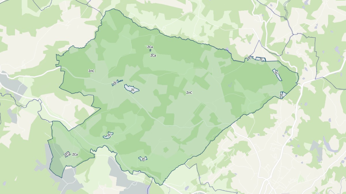 Aperçu cartographique de Saint-Martin-le-Pin, centré sur la commune