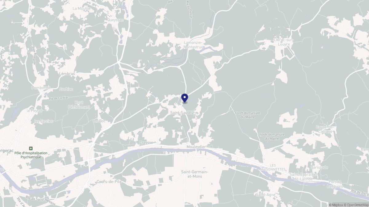 Aperçu cartographique de Saint-Sauveur, centré sur la commune