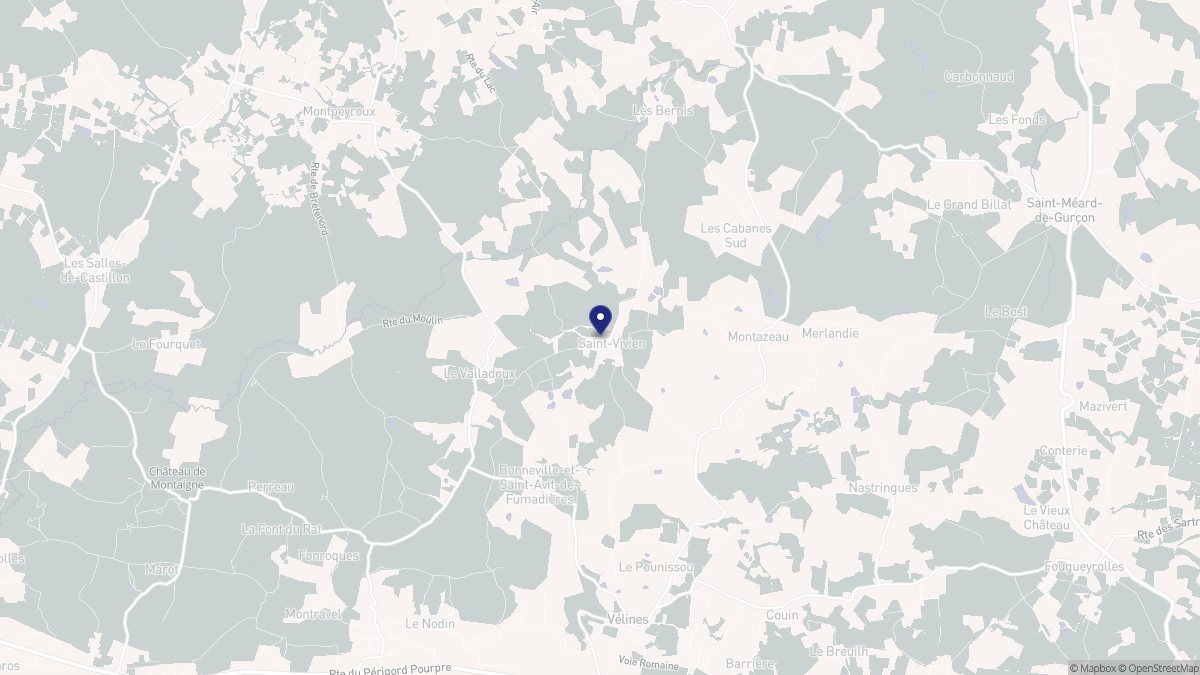 Aperçu cartographique de Saint-Vivien, centré sur la commune