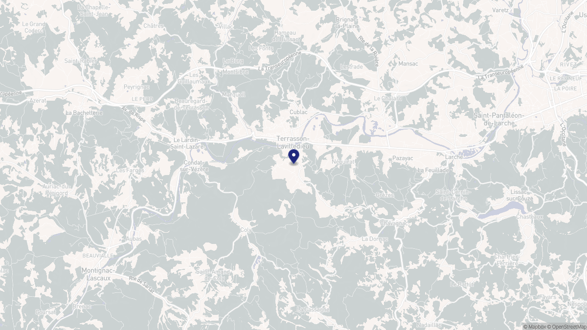 Aperçu cartographique de Terrasson-Lavilledieu, centré sur la commune