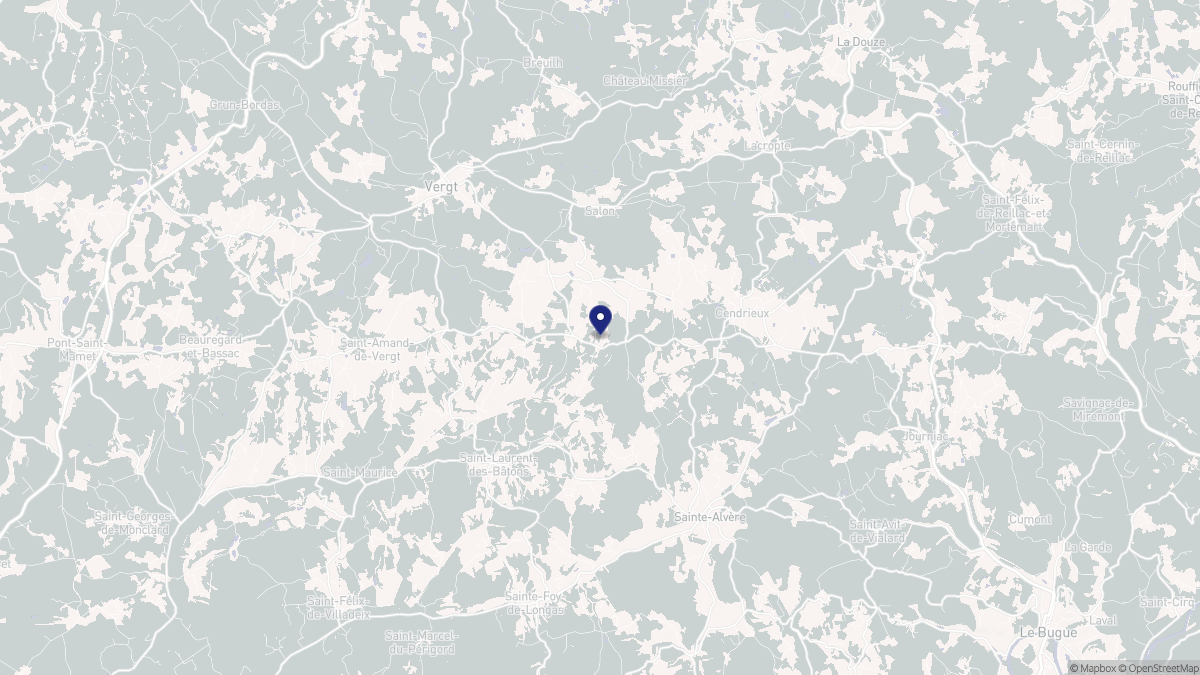 Aperçu cartographique de Veyrines-de-Vergt, centré sur la commune