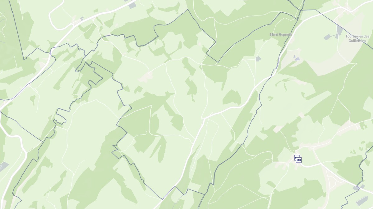 Aperçu cartographique de La Bosse, centré sur la commune