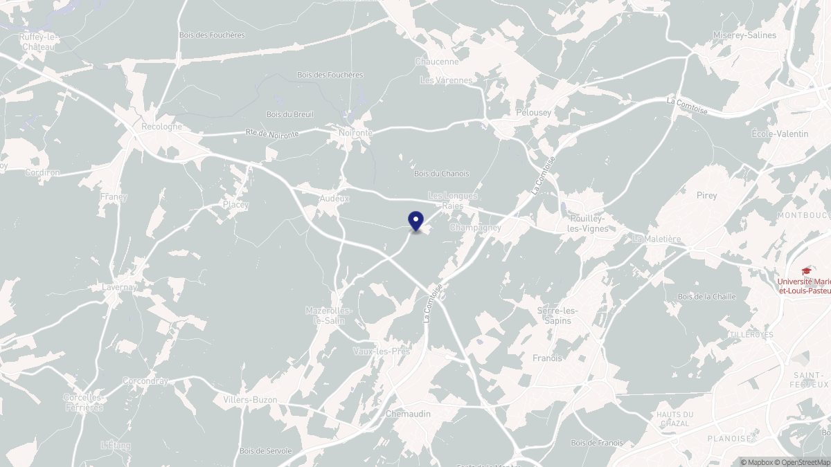 Aperçu cartographique de Champagney, centré sur la commune