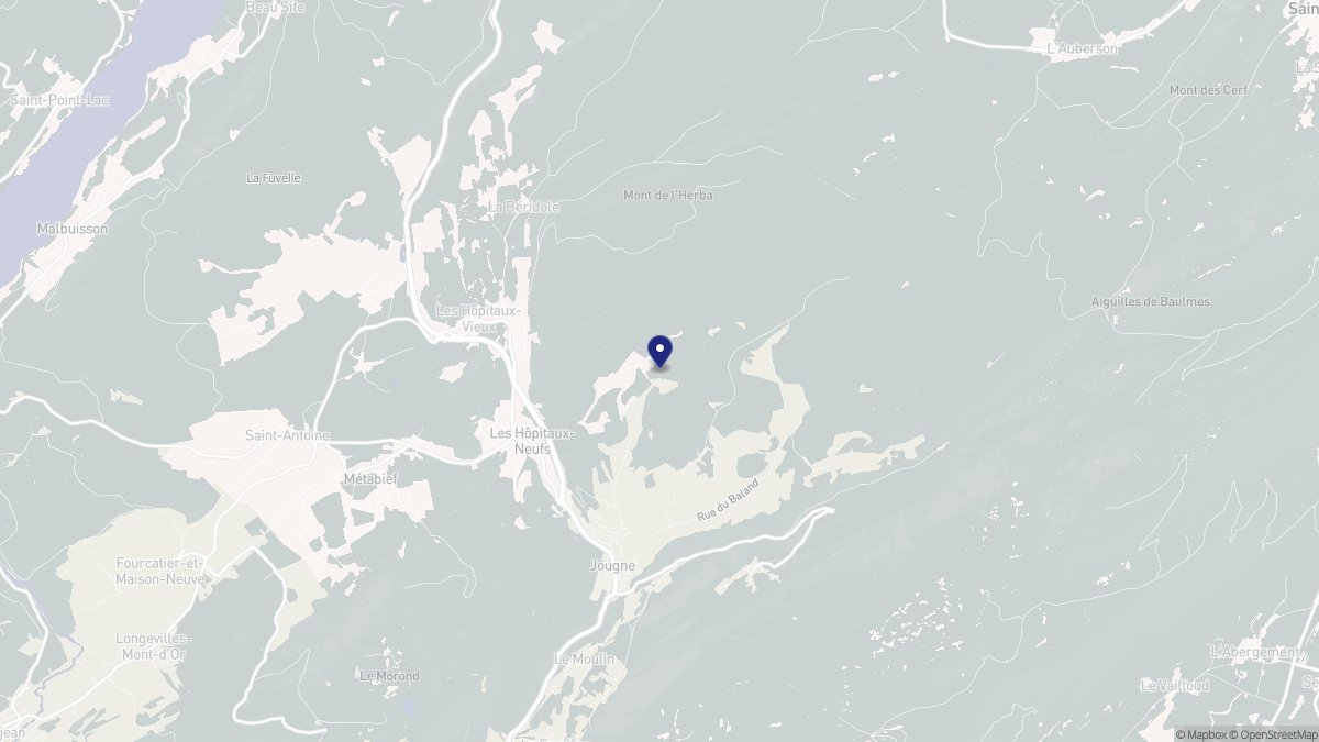 Aperçu cartographique de Les Hôpitaux-Neufs, centré sur la commune
