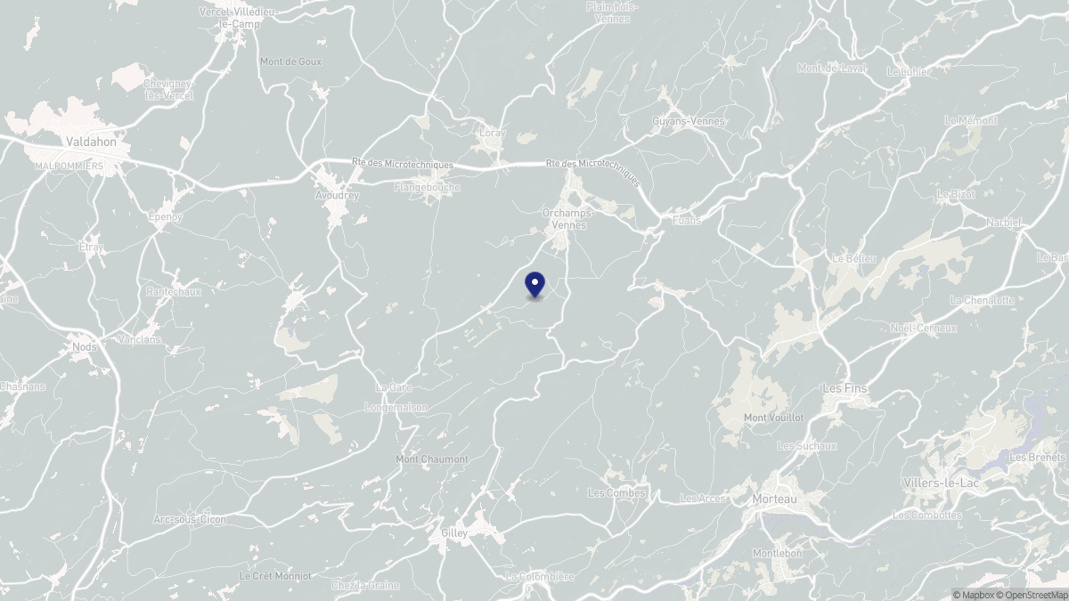 Aperçu cartographique de Orchamps-Vennes, centré sur la commune