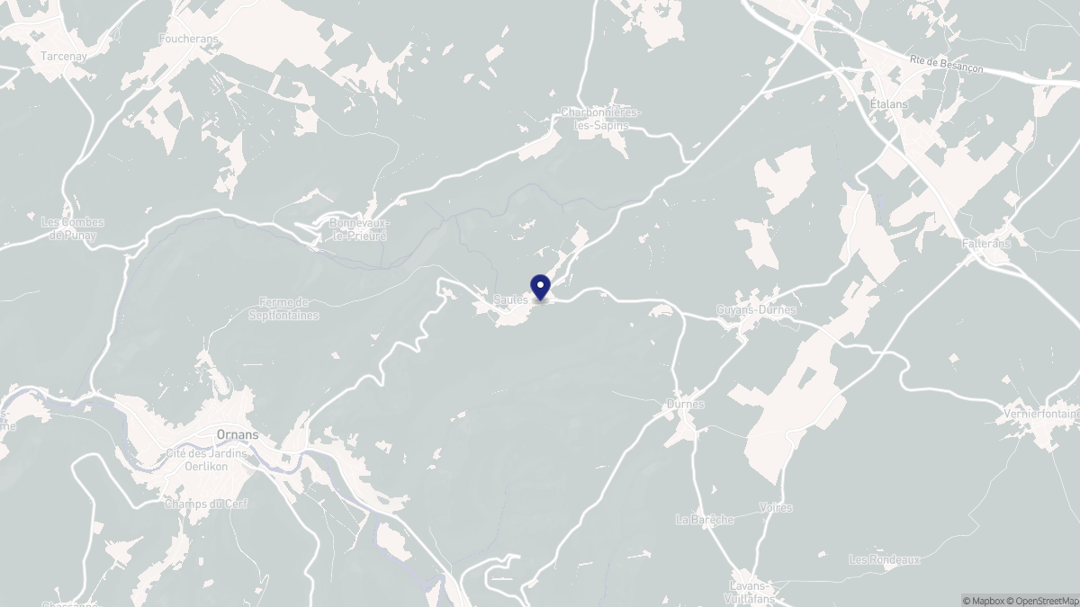 Aperçu cartographique de Saules, centré sur la commune