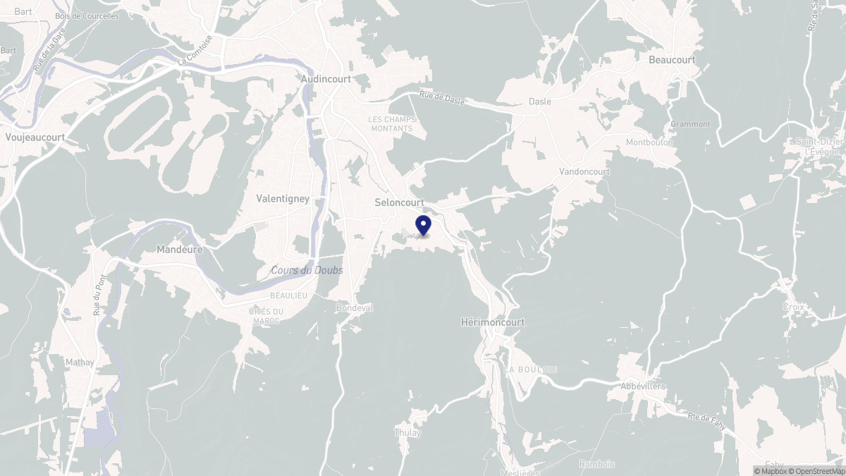 Aperçu cartographique de Seloncourt, centré sur la commune