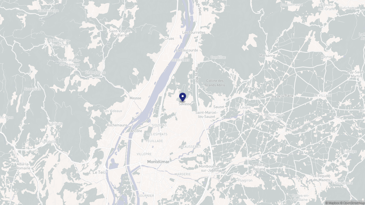 Aperçu cartographique de Savasse, centré sur la commune