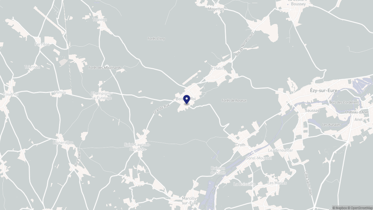 Aperçu cartographique de Bois-le-Roi, centré sur la commune