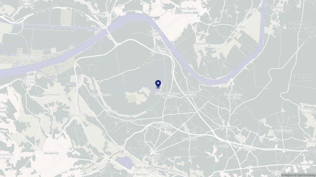 Aperçu cartographique de Sainte-Opportune-la-Mare, centré sur la commune