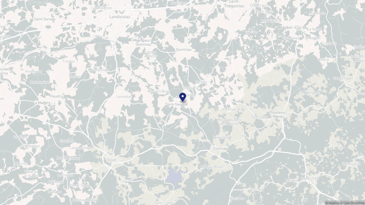 Aperçu cartographique de Saint-Sauveur, centré sur la commune