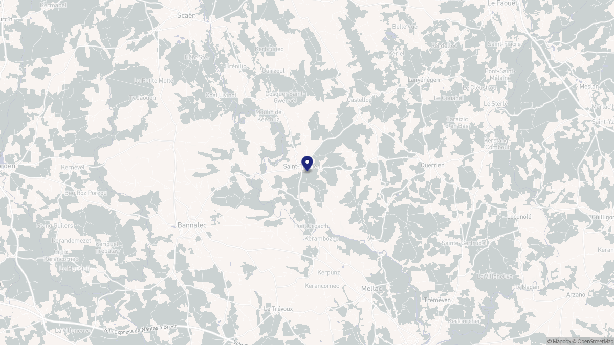 Aperçu cartographique de Saint-Thurien, centré sur la commune