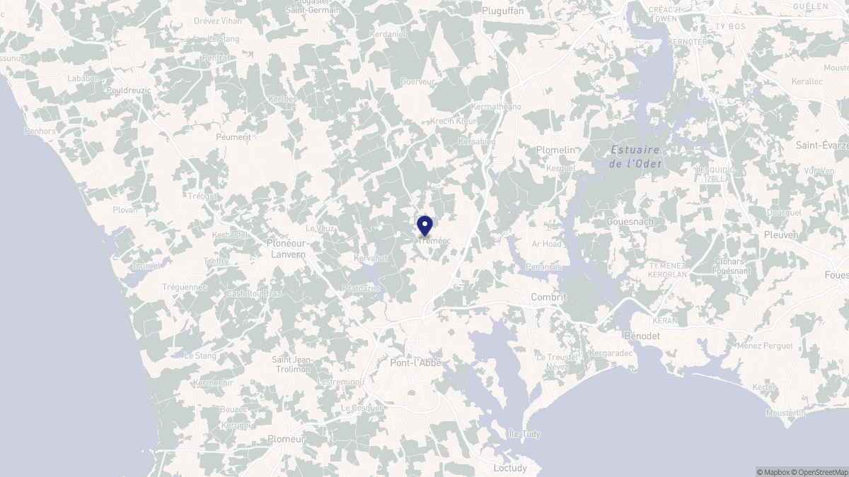 Aperçu cartographique de Tréméoc, centré sur la commune