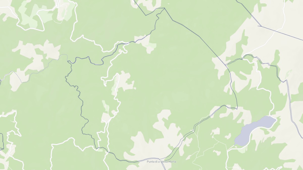 Aperçu cartographique de Carbini, centré sur la commune