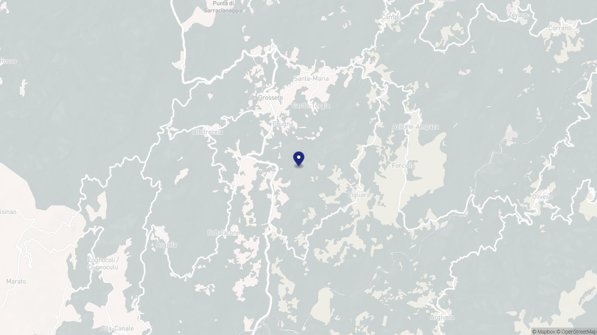 Aperçu cartographique de Cardo-Torgia, centré sur la commune