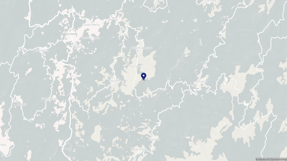 Aperçu cartographique de Forciolo, centré sur la commune