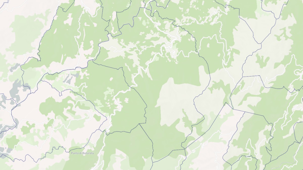 Aperçu cartographique de Petreto-Bicchisano, centré sur la commune