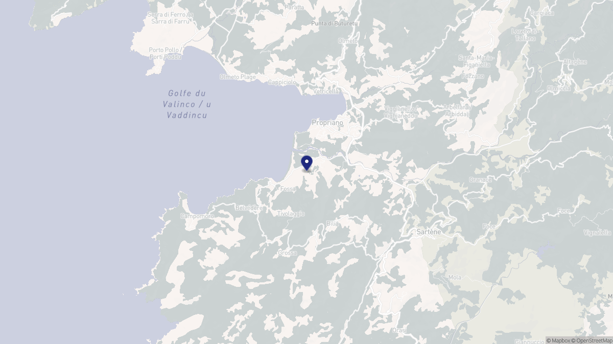 Aperçu cartographique de Propriano, centré sur la commune