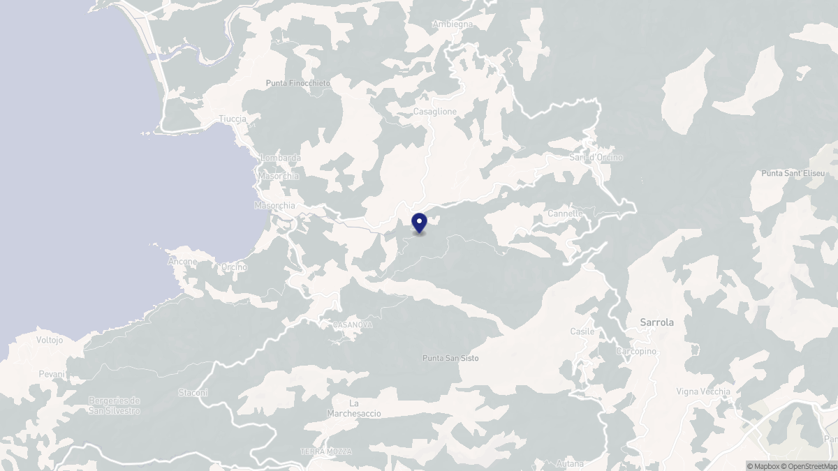Aperçu cartographique de Sant'Andréa-d'Orcino, centré sur la commune