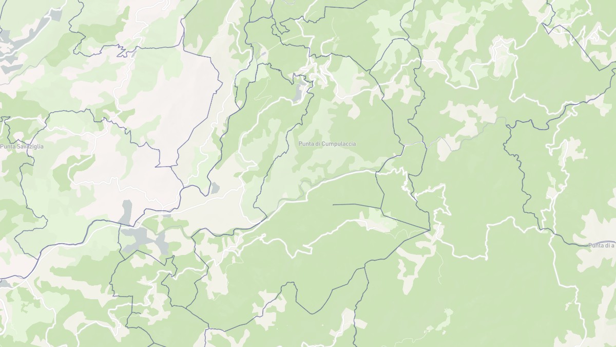 Aperçu cartographique de Sainte-Lucie-de-Tallano, centré sur la commune