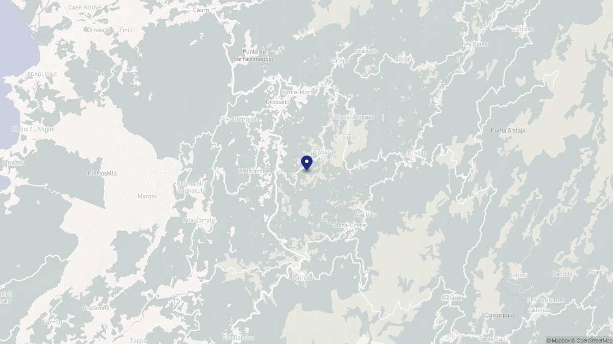 Aperçu cartographique de Zigliara, centré sur la commune