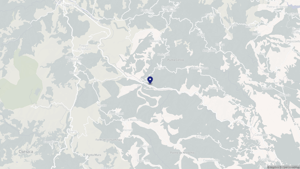 Aperçu cartographique de Altiani, centré sur la commune
