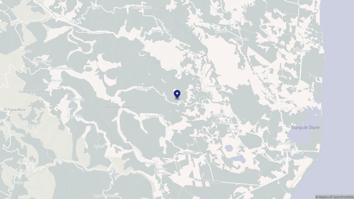 Aperçu cartographique de Antisanti, centré sur la commune